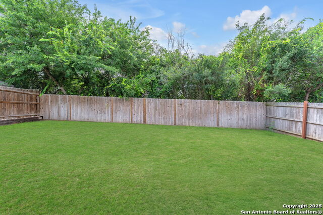 121 Willow Bluff, Cibolo, Texas image 26