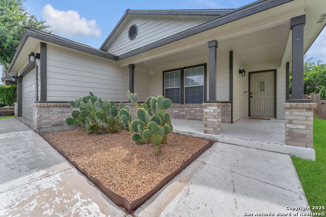 121 Willow Bluff, Cibolo, Texas image 5