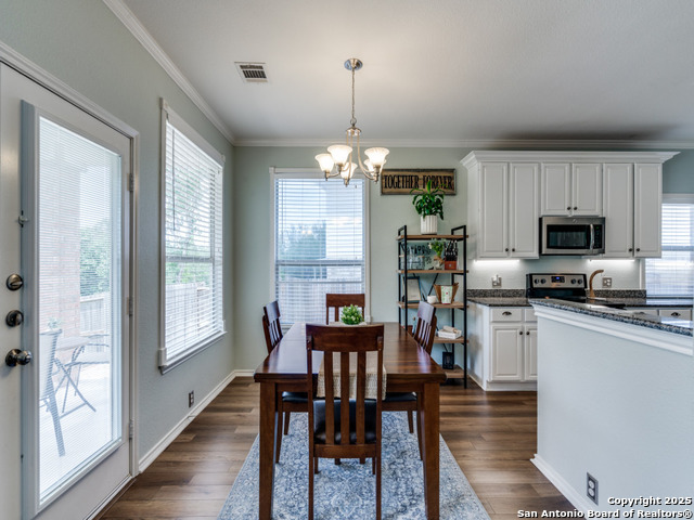 1319 Arrow Bow, San Antonio, Texas image 12