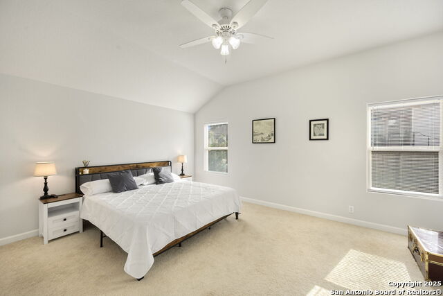 307 Rhapsody Ridge, Spring Branch, Texas image 11