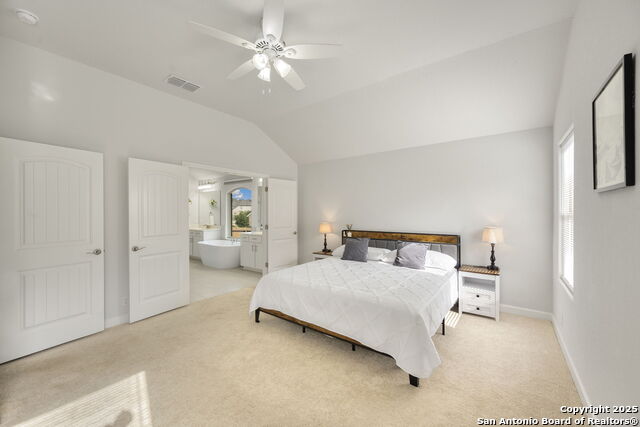 307 Rhapsody Ridge, Spring Branch, Texas image 12