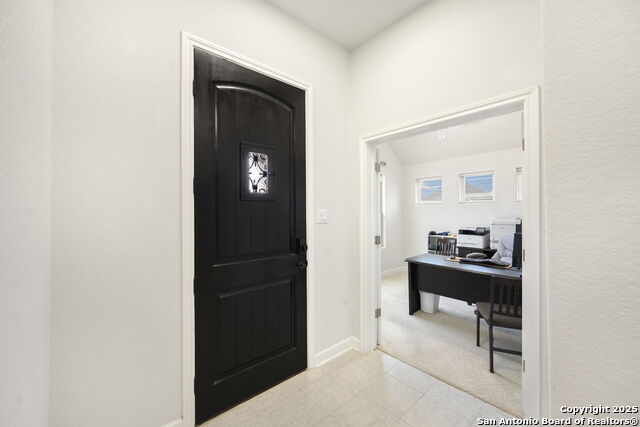 307 Rhapsody Ridge, Spring Branch, Texas image 20