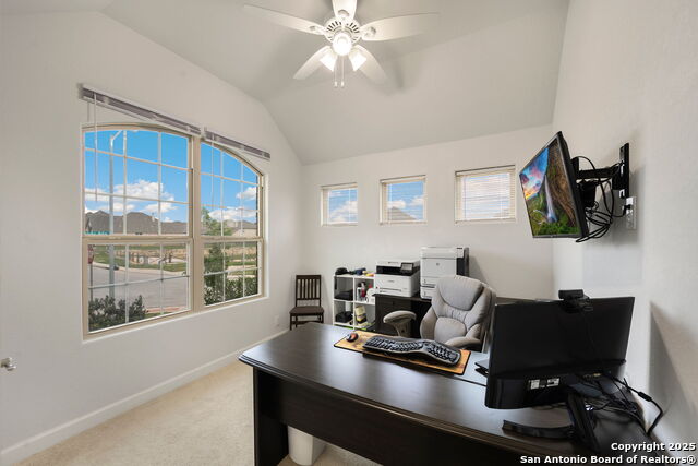 307 Rhapsody Ridge, Spring Branch, Texas image 21
