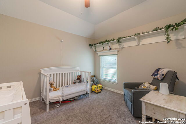 934 Lazy, New Braunfels, Texas image 5