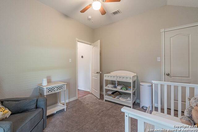 934 Lazy, New Braunfels, Texas image 6