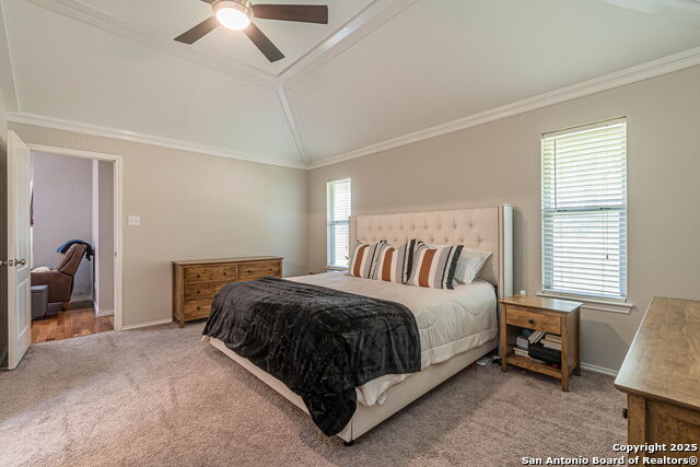 934 Lazy, New Braunfels, Texas image 9