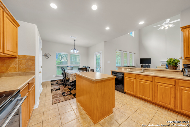 9243 Mccafferty, Helotes, Texas image 10