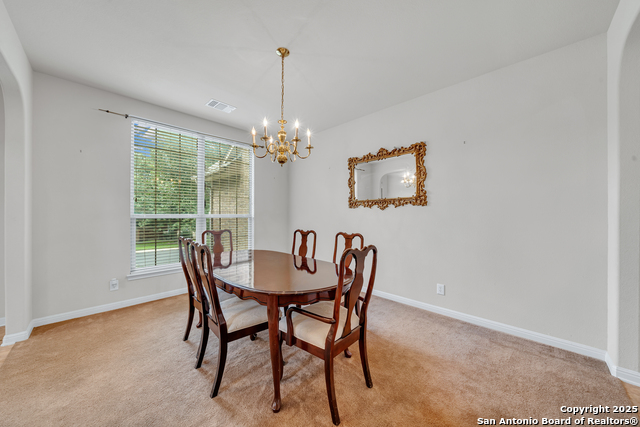 9243 Mccafferty, Helotes, Texas image 4