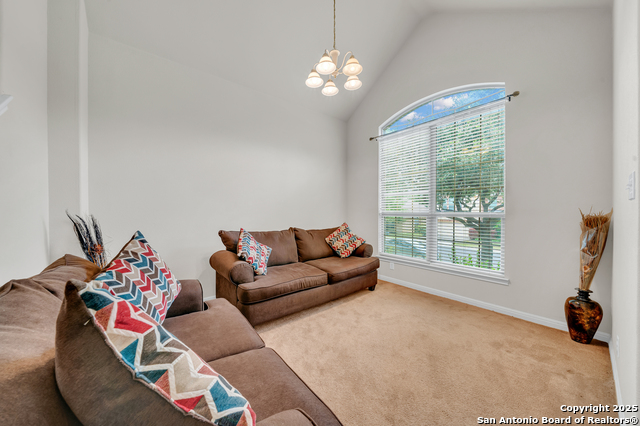 9243 Mccafferty, Helotes, Texas image 5