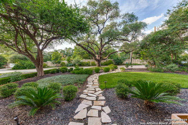 138 Laurel Heights, San Antonio, Texas image 6