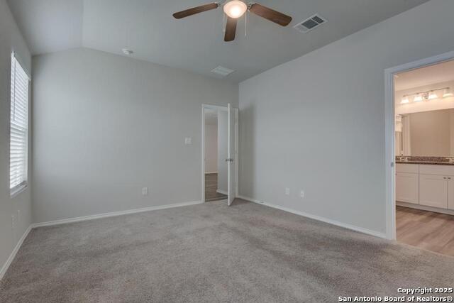 242 Holland, Cibolo, Texas image 10