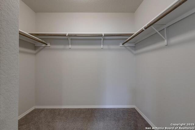 242 Holland, Cibolo, Texas image 14