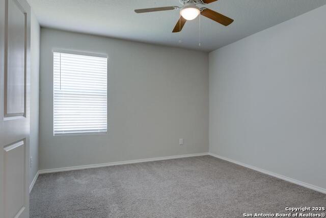 242 Holland, Cibolo, Texas image 17
