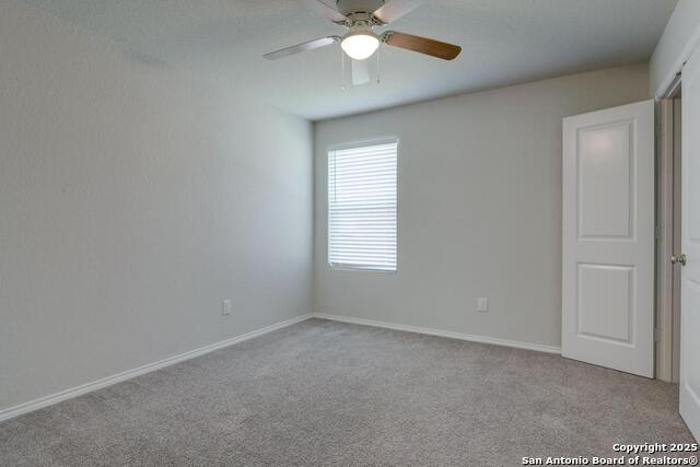 242 Holland, Cibolo, Texas image 20