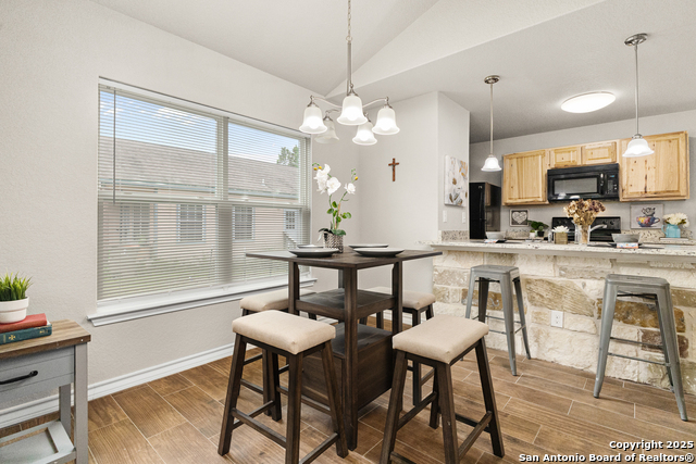 248 Indian Colt Dr, Spring Branch, Texas image 6