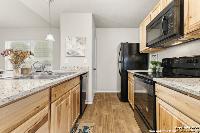 248 Indian Colt Dr, Spring Branch, Texas image 8