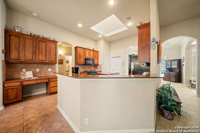 8434 Magdalena Run, Helotes, Texas image 11