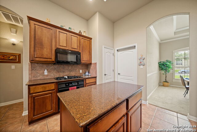 8434 Magdalena Run, Helotes, Texas image 13
