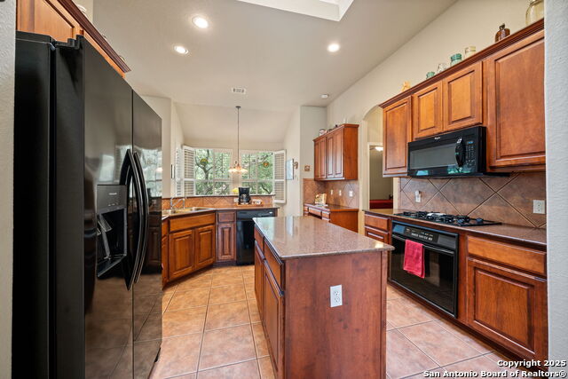 8434 Magdalena Run, Helotes, Texas image 14