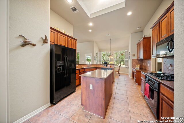 8434 Magdalena Run, Helotes, Texas image 15