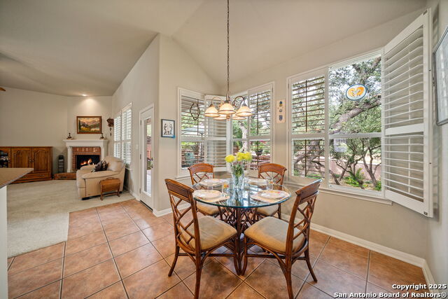 8434 Magdalena Run, Helotes, Texas image 16