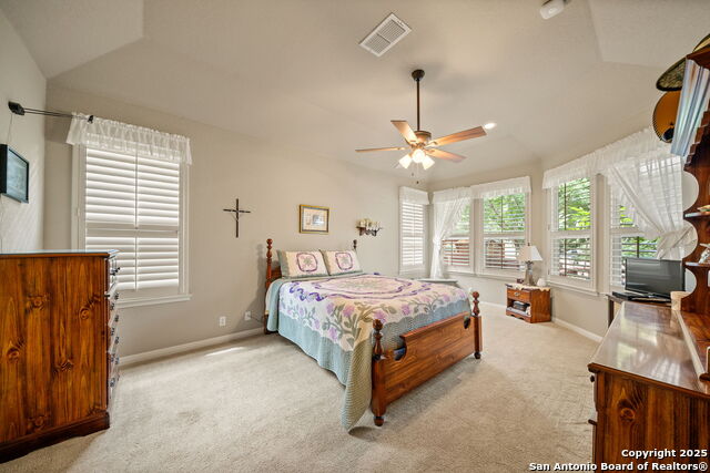 8434 Magdalena Run, Helotes, Texas image 20