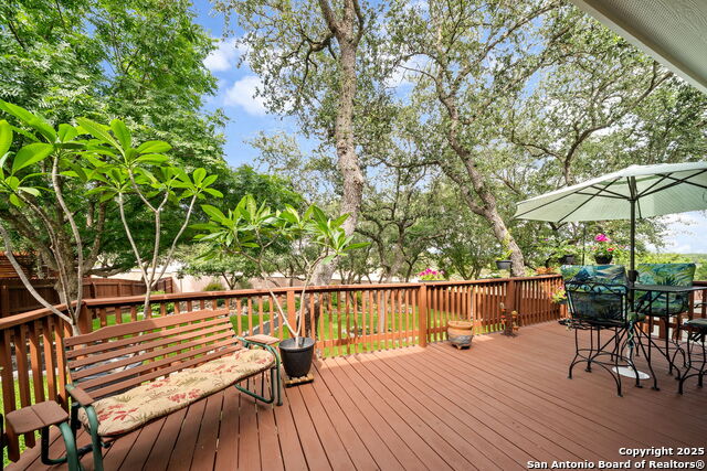 8434 Magdalena Run, Helotes, Texas image 27
