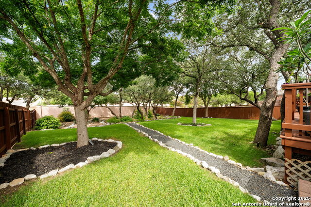 8434 Magdalena Run, Helotes, Texas image 3