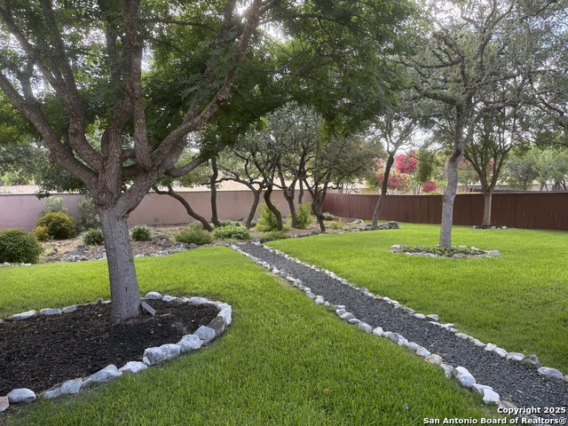 8434 Magdalena Run, Helotes, Texas image 30