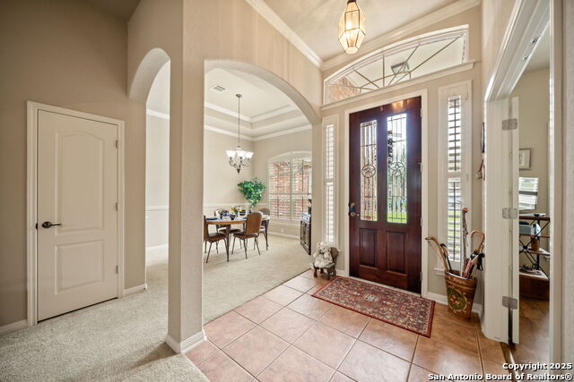 8434 Magdalena Run, Helotes, Texas image 6
