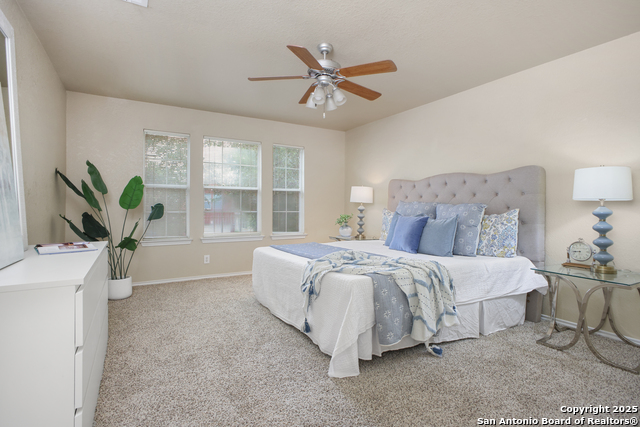 8832 Staghorn Mill, Converse, Texas image 16