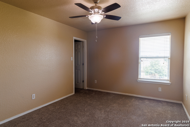 708 Clearbrook Avenue, Schertz, Texas image 23