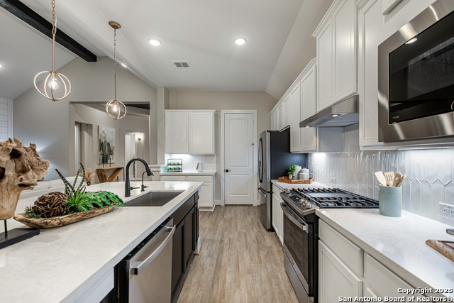 137 Mason Lane, Castroville, Texas image 14