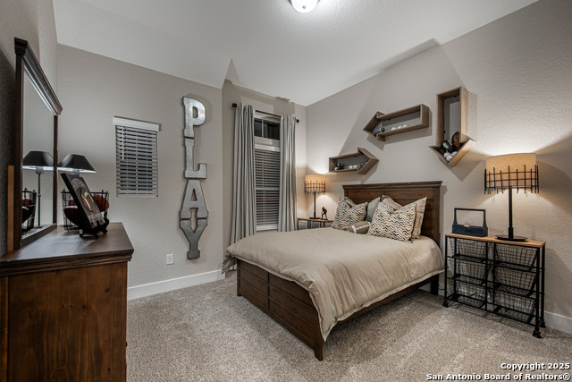 137 Mason Lane, Castroville, Texas image 20