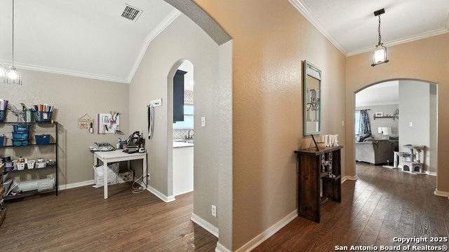 427 Roadrunner, New Braunfels, Texas image 29