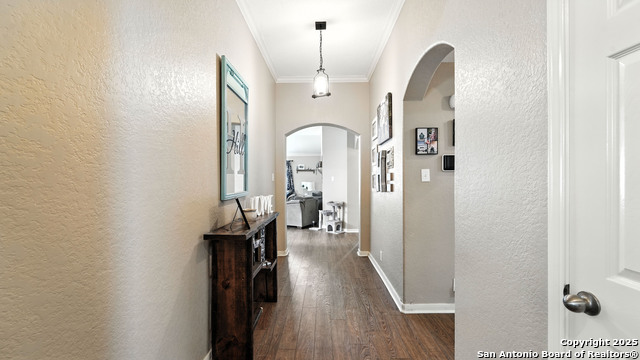 427 Roadrunner, New Braunfels, Texas image 34