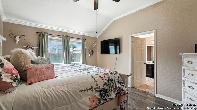 427 Roadrunner, New Braunfels, Texas image 36