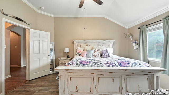 427 Roadrunner, New Braunfels, Texas image 38