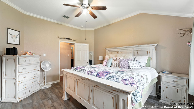 427 Roadrunner, New Braunfels, Texas image 39