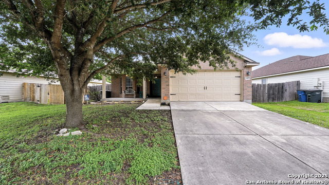427 Roadrunner, New Braunfels, Texas image 4