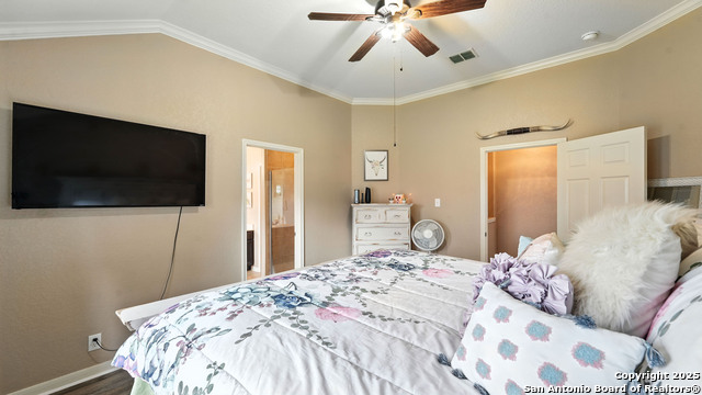 427 Roadrunner, New Braunfels, Texas image 40