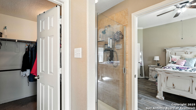 427 Roadrunner, New Braunfels, Texas image 46