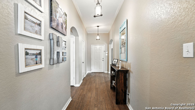 427 Roadrunner, New Braunfels, Texas image 47