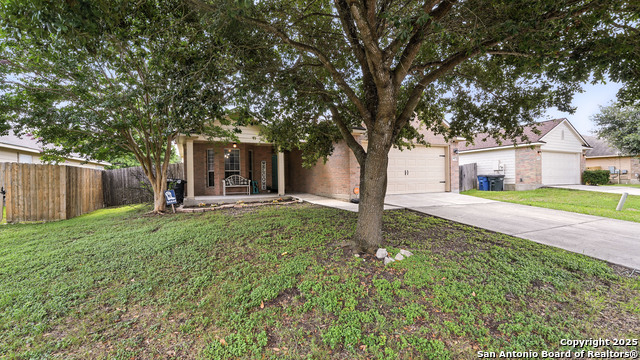 427 Roadrunner, New Braunfels, Texas image 5