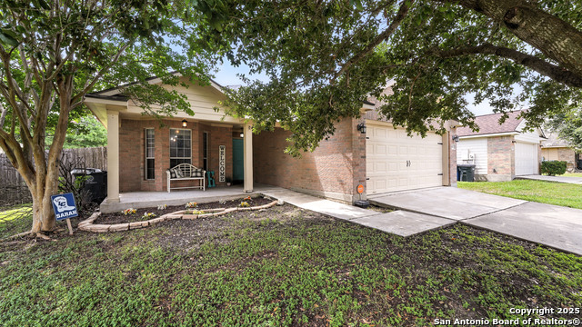 427 Roadrunner, New Braunfels, Texas image 7