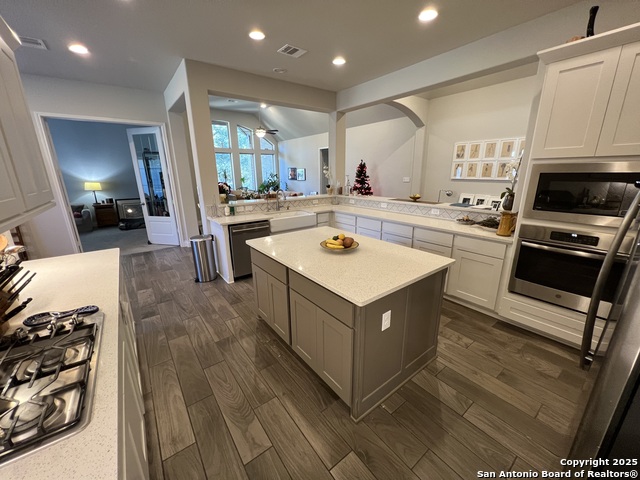 508 Chinkapin, New Braunfels, Texas image 11