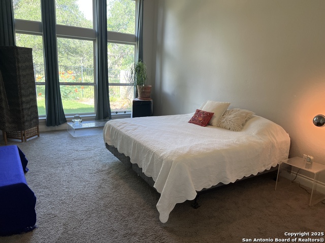 508 Chinkapin, New Braunfels, Texas image 18
