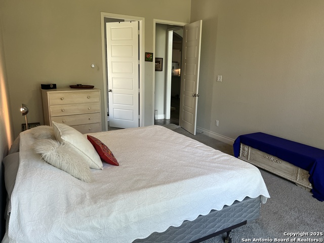 508 Chinkapin, New Braunfels, Texas image 19