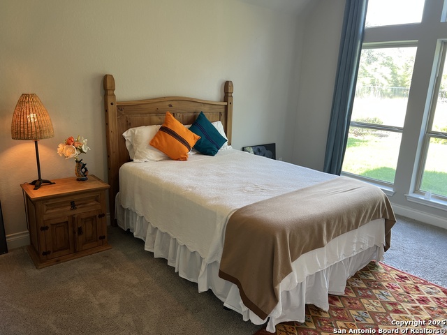 508 Chinkapin, New Braunfels, Texas image 21