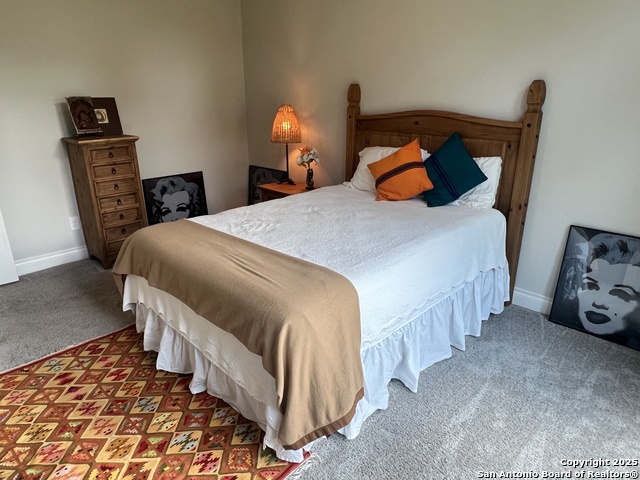 508 Chinkapin, New Braunfels, Texas image 22